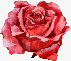 红色手绘玫瑰花装饰素材