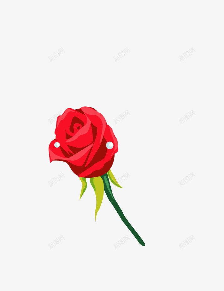 一支玫瑰花png免抠素材_新图网 https://ixintu.com 浪漫 红玫瑰 红色 花卉 花朵 鲜花