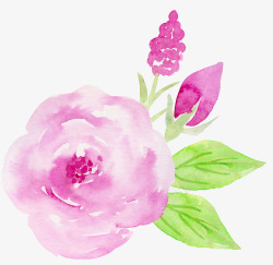 手绘水彩玫瑰花装饰元素素材