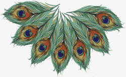 精美孔雀绿色手绘孔雀羽毛图标高清图片
