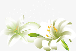 百合花束手绘立体百合花白色百合花矢量图高清图片