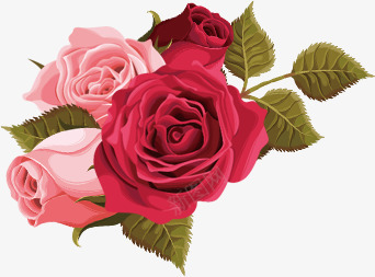 粉玫瑰和红玫瑰png免抠素材_新图网 https://ixintu.com 粉玫瑰红玫瑰玫瑰情人节花朵