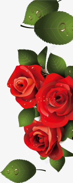 玫瑰花海素材红色玫瑰矢量图高清图片