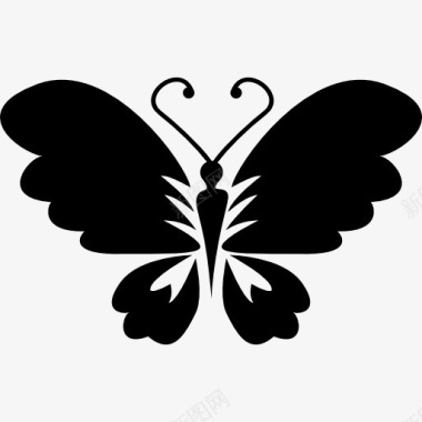 黑蝴蝶俯视开翅膀图标图标