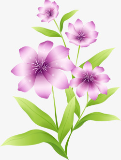 高清花紫色花高清图片