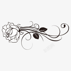 花卉线图手绘黑白玫瑰花高清图片