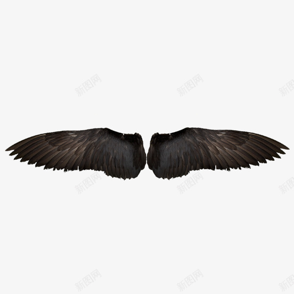 黑色老鹰翅膀png免抠素材_新图网 https://ixintu.com 一对翅膀 产品实物 羽毛 黑色
