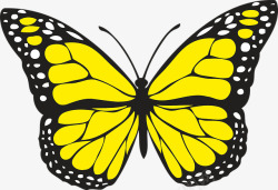 可爱的黄色蝴蝶手绘素材