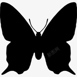 蝴蝶的轮廓蝴蝶昆虫动物形状图标高清图片