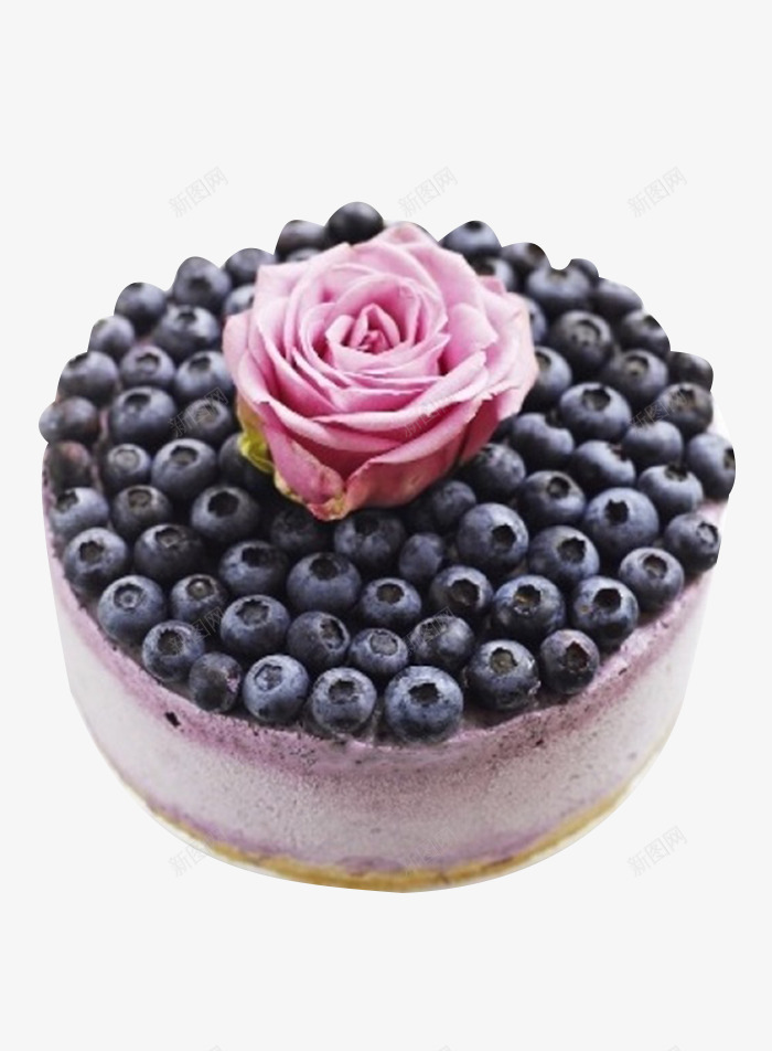 蓝莓酸奶小蛋糕png免抠素材_新图网 https://ixintu.com 新鲜蓝莓 玫瑰裱花 蓝莓蛋糕 裱花