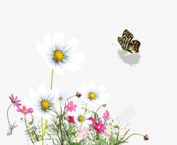 饰边框矢量小清新花朵蝴蝶装饰边框高清图片