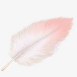 花红粉白装饰羽毛高清图片