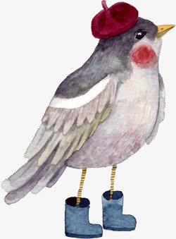 彩绘小鸟穿靴子的可爱小鸟高清图片