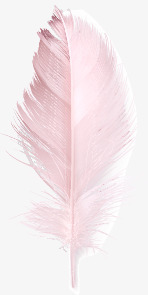 粉红色的羽毛粉红色羽毛矢量图高清图片