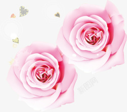 粉色玫瑰花海矢量图素材