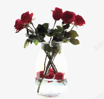 玻璃杯鲜花png免抠素材_新图网 https://ixintu.com 摆件 桌面装饰 玫瑰 玻璃杯 鲜花
