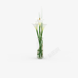 白色鲜花束盆栽白色鲜花束高清图片