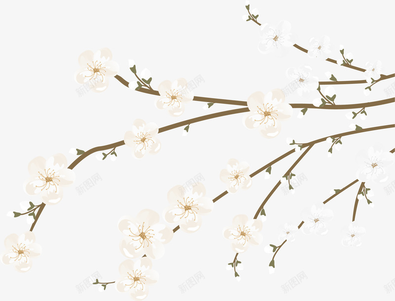 白色花朵和树枝矢量图ai免抠素材_新图网 https://ixintu.com 古风 树枝 淡雅 白色 花朵 矢量图