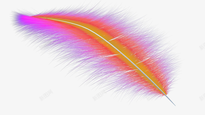 卡通紫色羽毛装饰png免抠素材_新图网 https://ixintu.com 促销装饰 女装店铺装饰 清新主题 电商