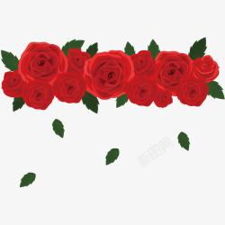 红色玫瑰横幅素材