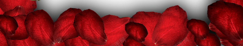 红色玫瑰花花瓣边框纹理png免抠素材_新图网 https://ixintu.com 免抠PNG 玫瑰花 红色 花瓣 边框纹理