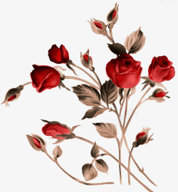 红色手绘逼真玫瑰花素材