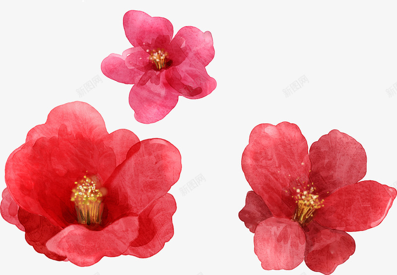 红色鲜花玫瑰植物png免抠素材_新图网 https://ixintu.com 植物 玫瑰 红色 鲜花