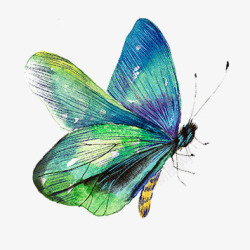 蓝色彩蝶手绘美丽的蓝色蝴蝶高清图片