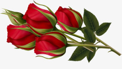 红色浪漫玫瑰花花束矢量图素材