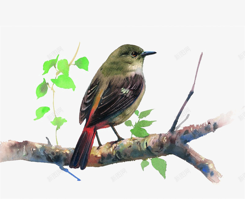 树枝上的鸟png免抠素材_新图网 https://ixintu.com 一只 卡通 小鸟 手绘 树枝 绿色 羽毛 蓝色 黑色