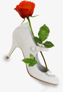 放在书上的玫瑰一枝玫瑰放在鞋子上高清图片