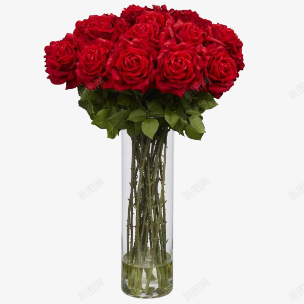 花瓶中的红玫瑰png免抠素材_新图网 https://ixintu.com 室内装饰 植物元素 红色玫瑰 花瓶