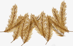 芦苇植物素材手绘金色树枝高清图片