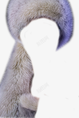软软的毛皮png免抠素材_新图网 https://ixintu.com 紫蓝色 绒毛 羽毛 软和
