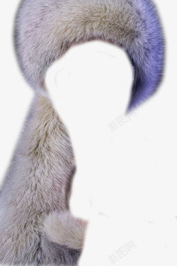 紫羽毛软软的毛皮高清图片