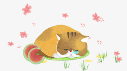 粉色小草卡通手绘趴着睡觉的猫咪高清图片