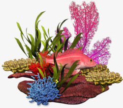 立体深海世界鱼和植物素材