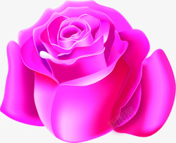 紫色卡通粉尘花朵玫瑰素材