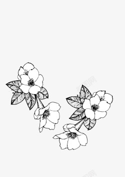 黑白镂空花瓣手绘黑白花卉花朵矢量图高清图片