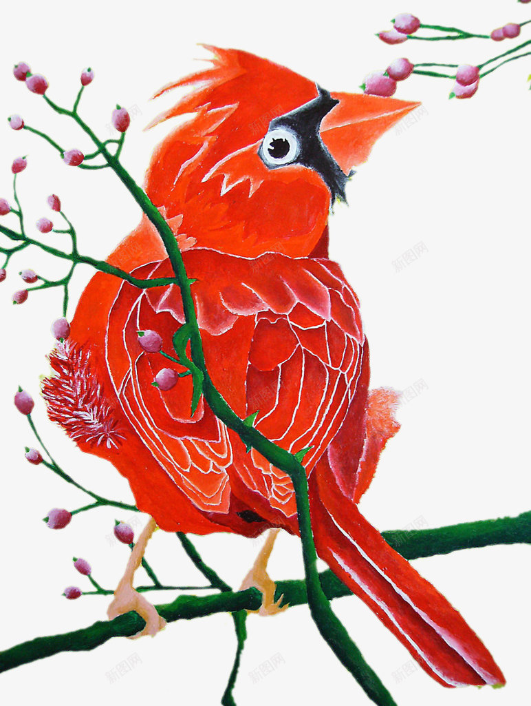 红色的小鸟卡通png免抠素材_新图网 https://ixintu.com 手绘 树枝 羽毛 翅膀 鸟