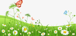 草丛中的金毛犬图片绿色草丛中的花蝴蝶高清图片