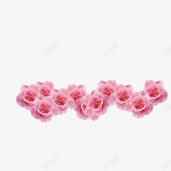 粉红色漂亮的玫瑰花png免抠素材_新图网 https://ixintu.com 漂亮的 玫瑰花 粉红色
