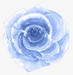蓝玫瑰花素材