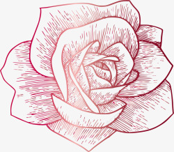 玫瑰与酒酒红色手绘花朵矢量图高清图片
