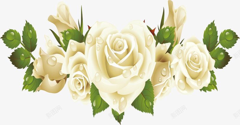 告白玫瑰矢量图ai免抠素材_新图网 https://ixintu.com 玫瑰 玫瑰设计 白玫瑰设计 白色 花朵 装扮 矢量图