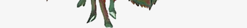 中式手绘插画鲜花png免抠素材_新图网 https://ixintu.com 插画 牡丹 玫瑰 装饰画 鲜花