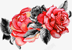 玛丽莲梦露手绘玫瑰素材