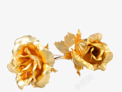 24金玫瑰并蒂金箔玫瑰高清图片