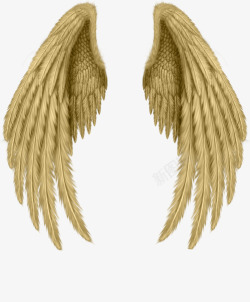 金翅膀翅膀图案高清图片