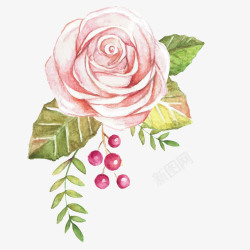 水彩画中国风玫瑰花矢量图素材